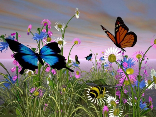 Collection Beautiful Butterfly (152 wallpapers)