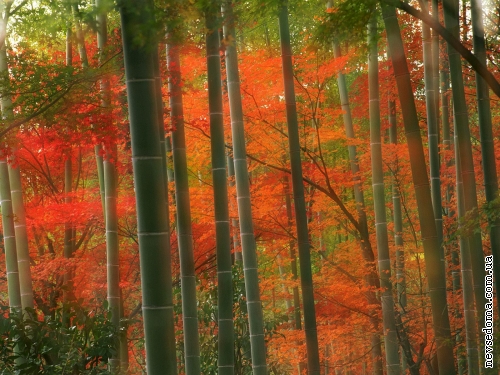 Japan HD Wallpapers Collection (35 обоев)