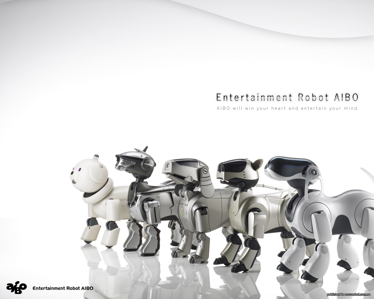 Робот обсуждай. Робот Aibo. Робот собака фон. Робот собака проект. Реклама робота собаки.