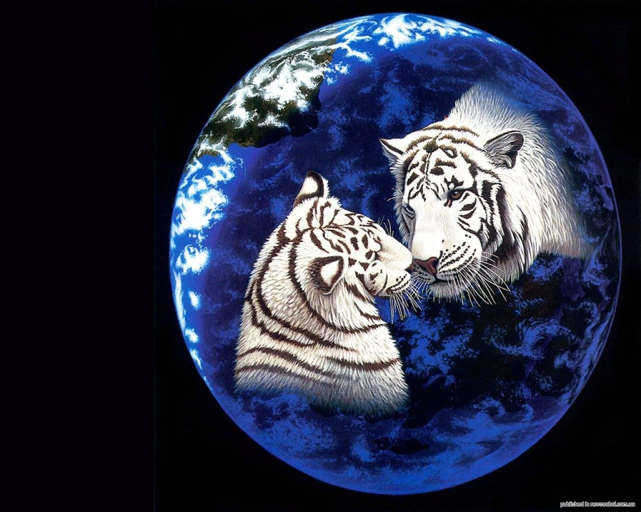 Новой год тигра. Вильям Шиммель художник. Тигр на фоне Луны. Тигрица с луной. Тигр на земном шаре.