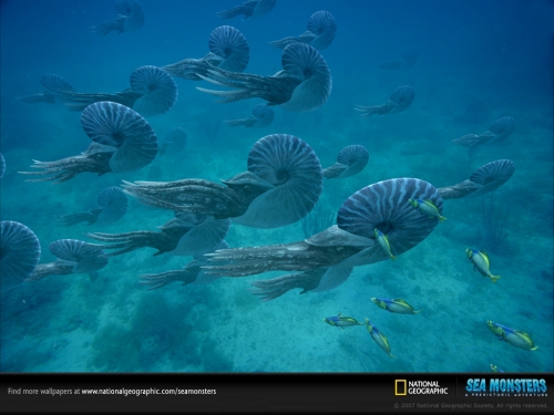 Sea Monsters Wallpapers от National Geographic (15 обоев)