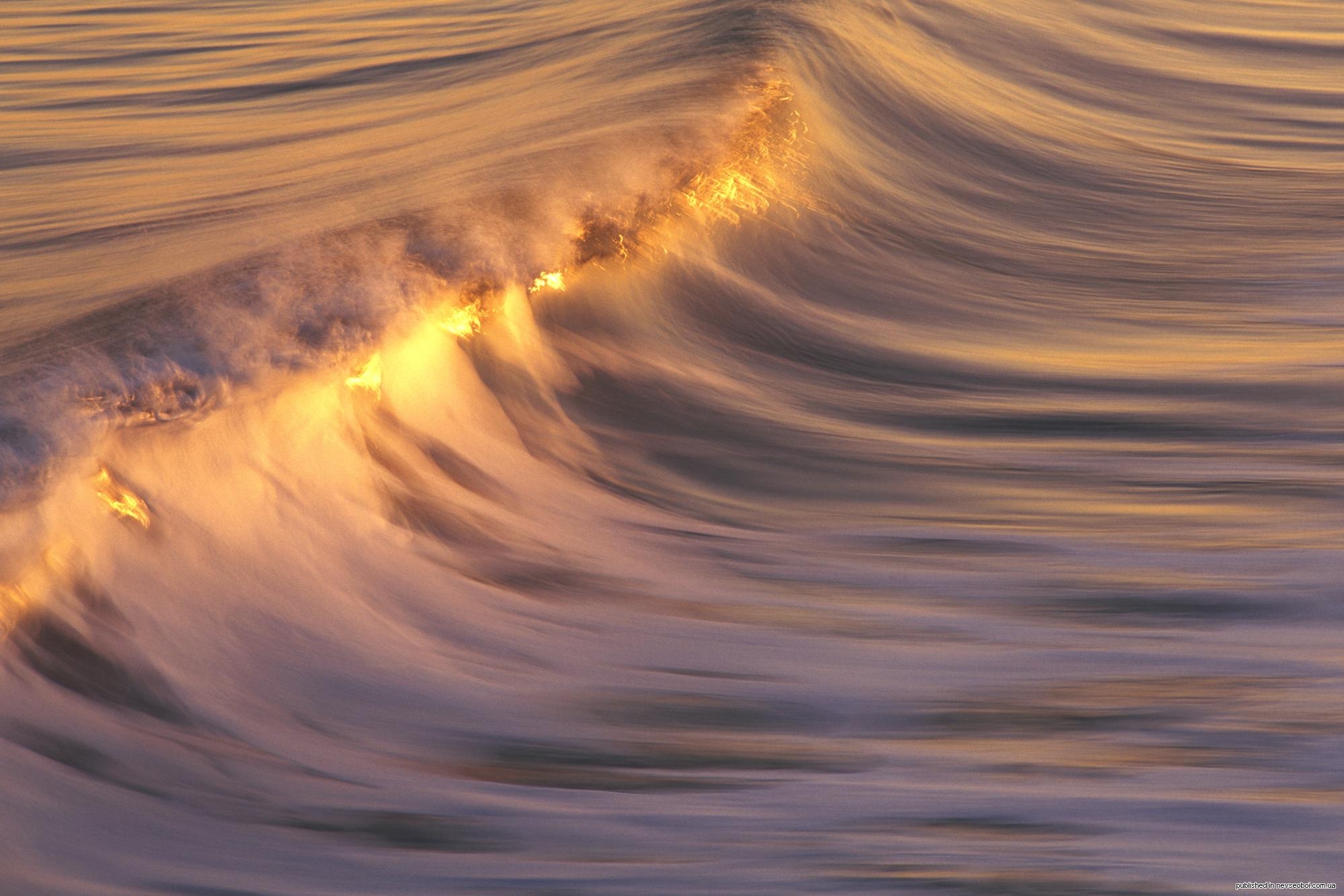 Волновой гребень. Золотая волна. На гребне волны. Волны на закате. Море волны солнце.