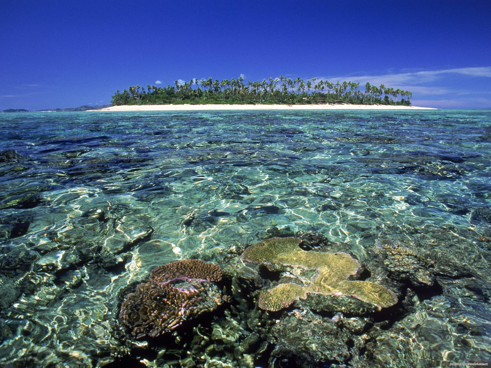 Самое большое скопление островов в мировом океане. Фиджи риф. Остров Фиджи. Карибское море Атлантический океан. Фиджи коралловый остров.