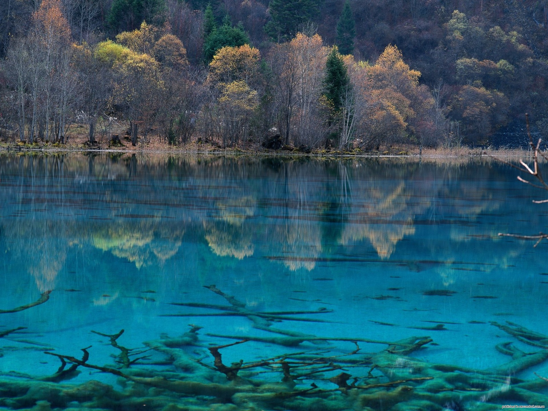 Голубая река. Национальный парк Цзючжайгоу. Бирюзовое озеро, национальный парк Цзючжайгоу, Китай. Национальный парк Цзючжайгоу Лебединое озеро. Зеркальное озеро Цзючжайгоу.