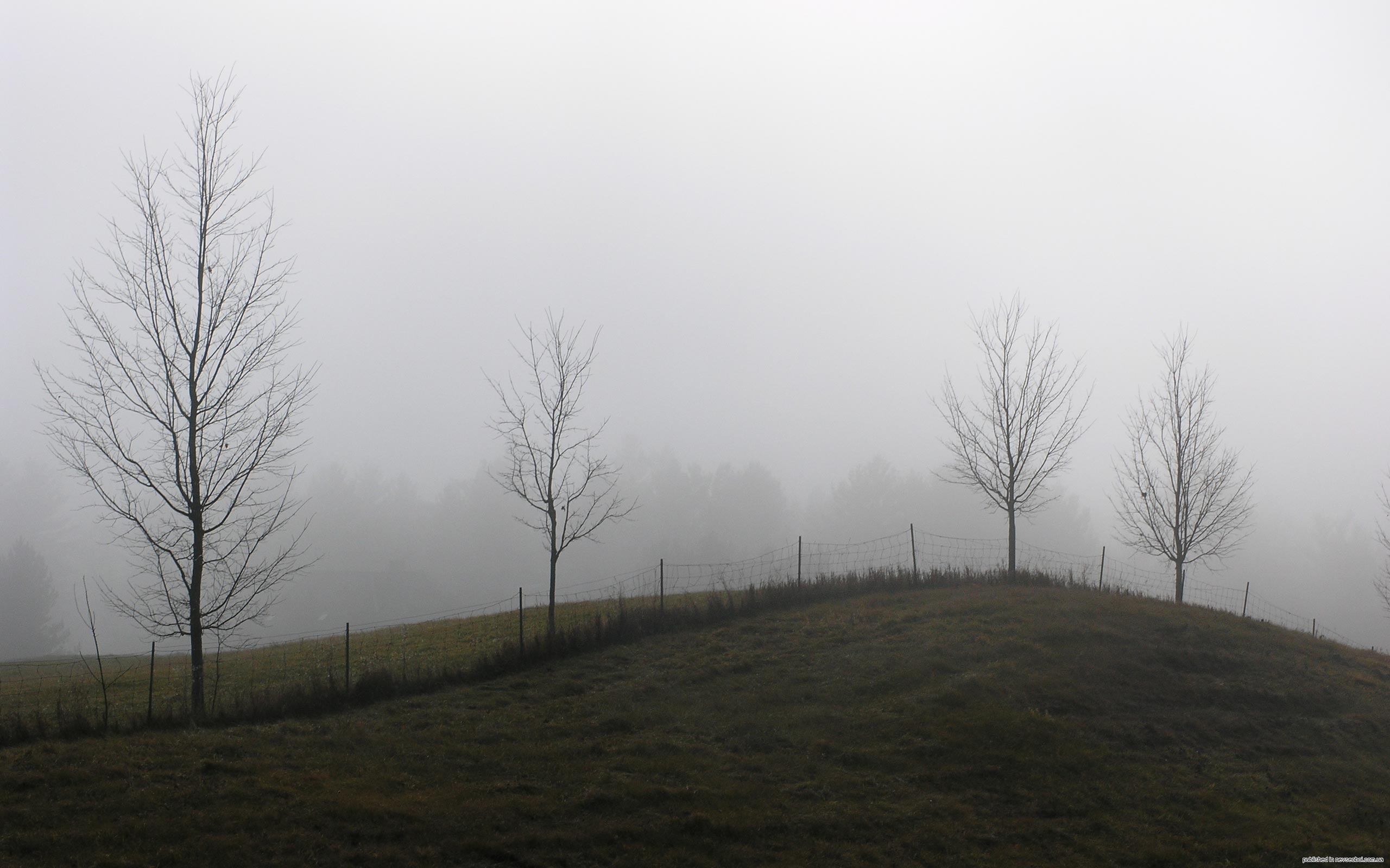Холмы туман. Холмы в тумане. Мрачные холмы. Пейзаж холм с туманом. Серый пейзаж.