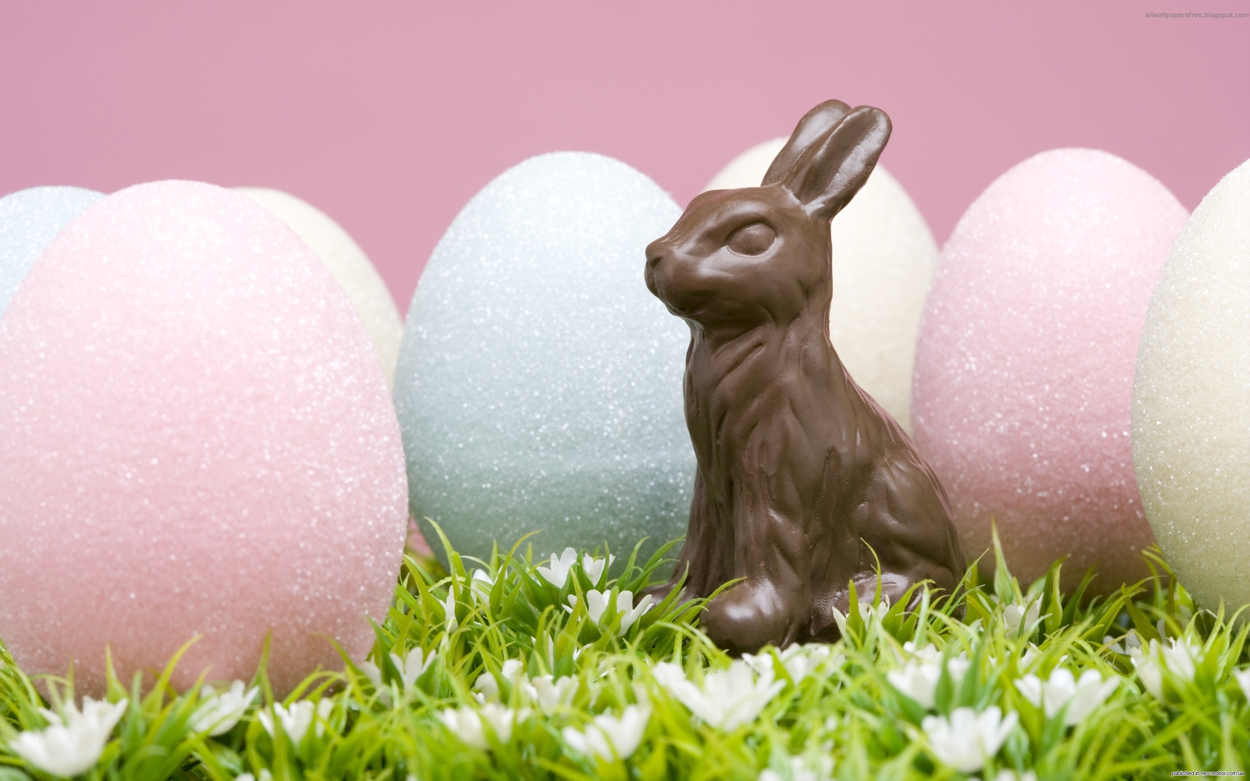 Пасхальный кролик почему символ пасхи. Пасхальный заяц. Католическая Пасха. Пасхальный заяц с яйцом. Пасхальный кролик с яйцами.