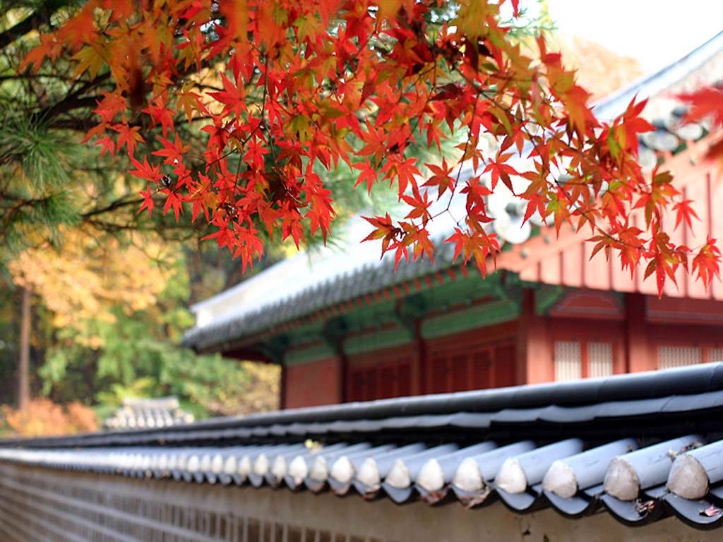 Japanese pack. Япония чудесная Страна. Beautiful Korea view.