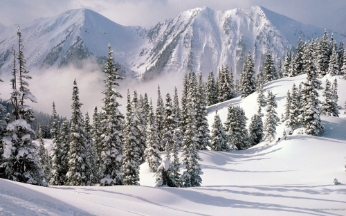 Beautiful Snowy Places (40 обоев)