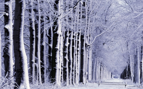 Snowy Places Wallpapers (40 обоев)