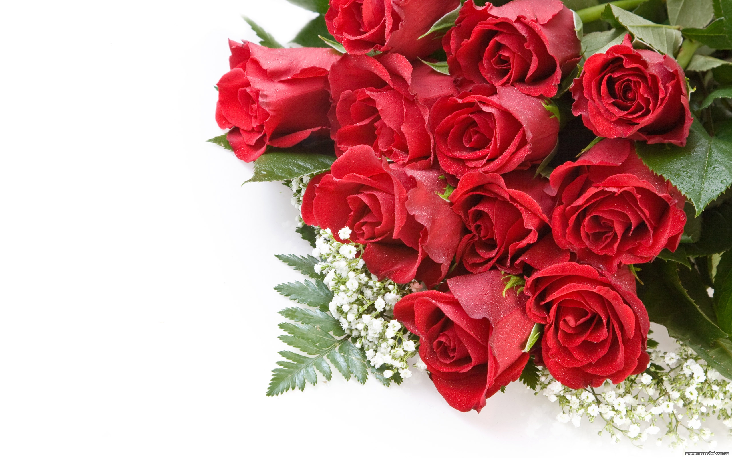 Открытка с днем рождения с именем любовь. Шикарные цветы. Букет роз с днем рождения. Открытка цветы. Цветы для женщины.