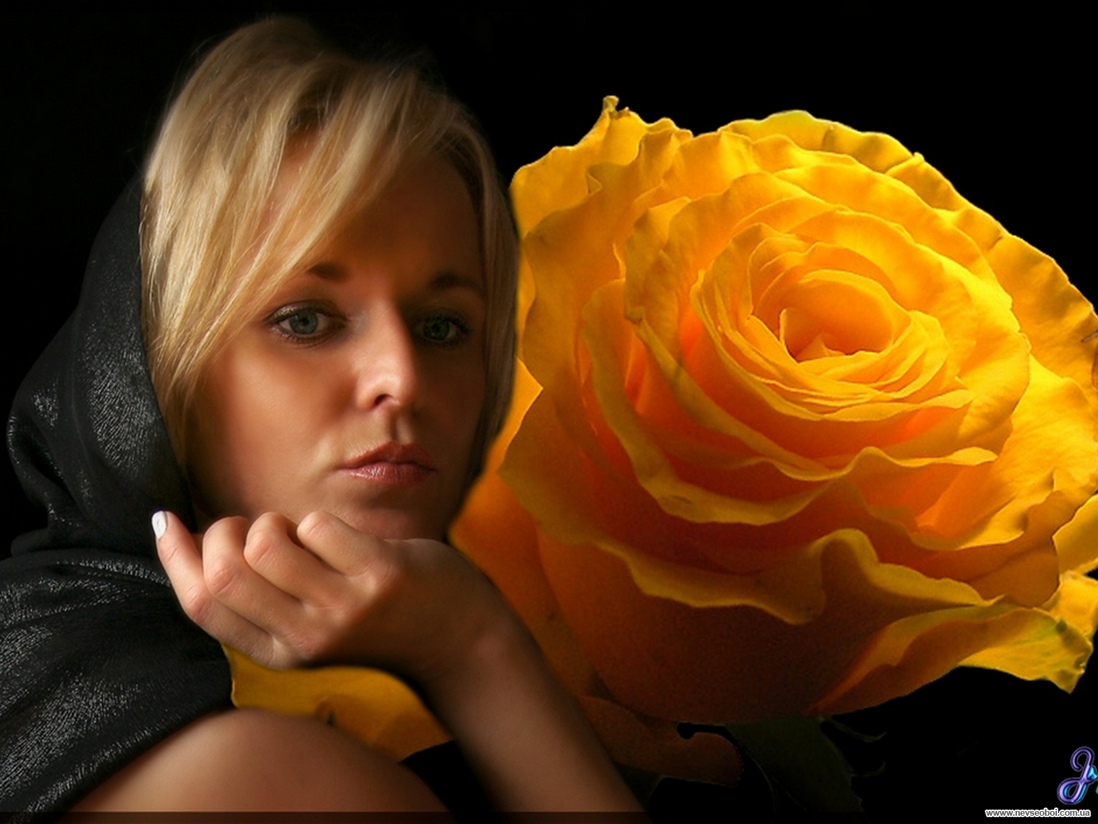 Я тебя напою нектаром любви. Девушка с желтыми розами. Девушка с букетом желтых роз. Мужчина с жёлтыми розами. Блондинка с желтыми розами.
