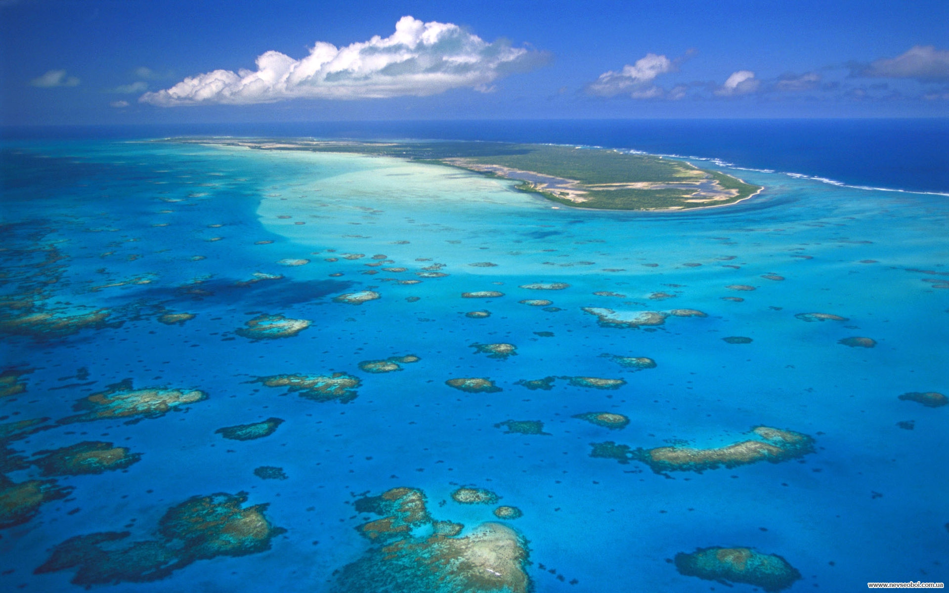 Барьерные острова. Атолл коралловый остров. Галапагосы Карибского моря. Багамские острова коралловые острова. Острова кораллового моря.