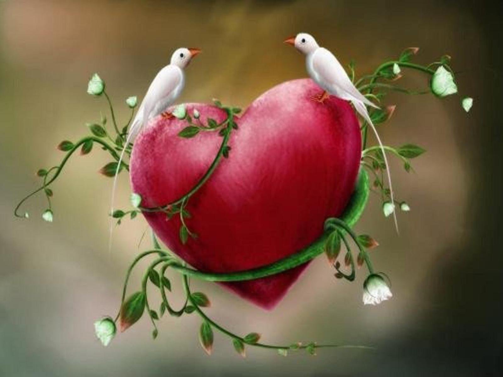 Красивое весеннее сердце. Птица любви. Весеннее сердце.