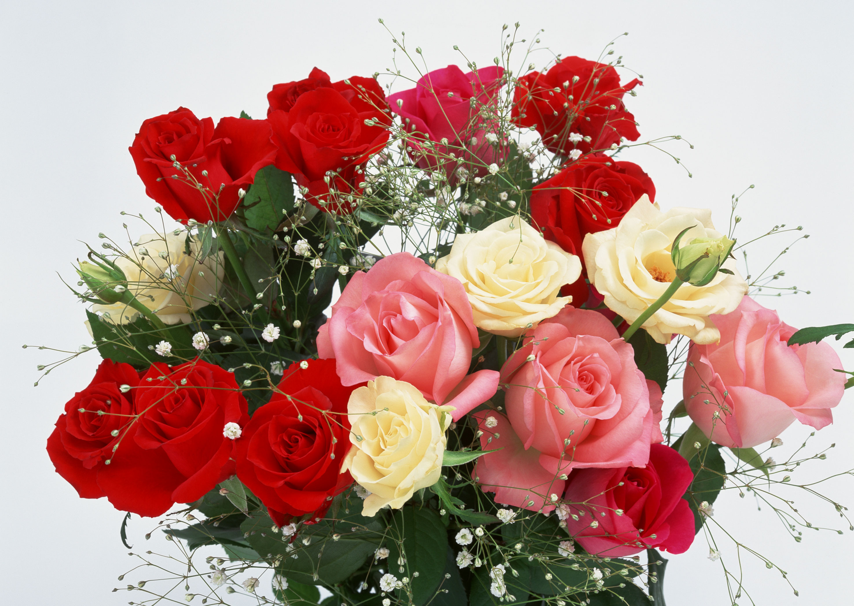 Открытка с красивыми цветами поздравляем. Красивый букет. Шикарные цветы. Букет "день рождения". С днём рождения женщине букет.