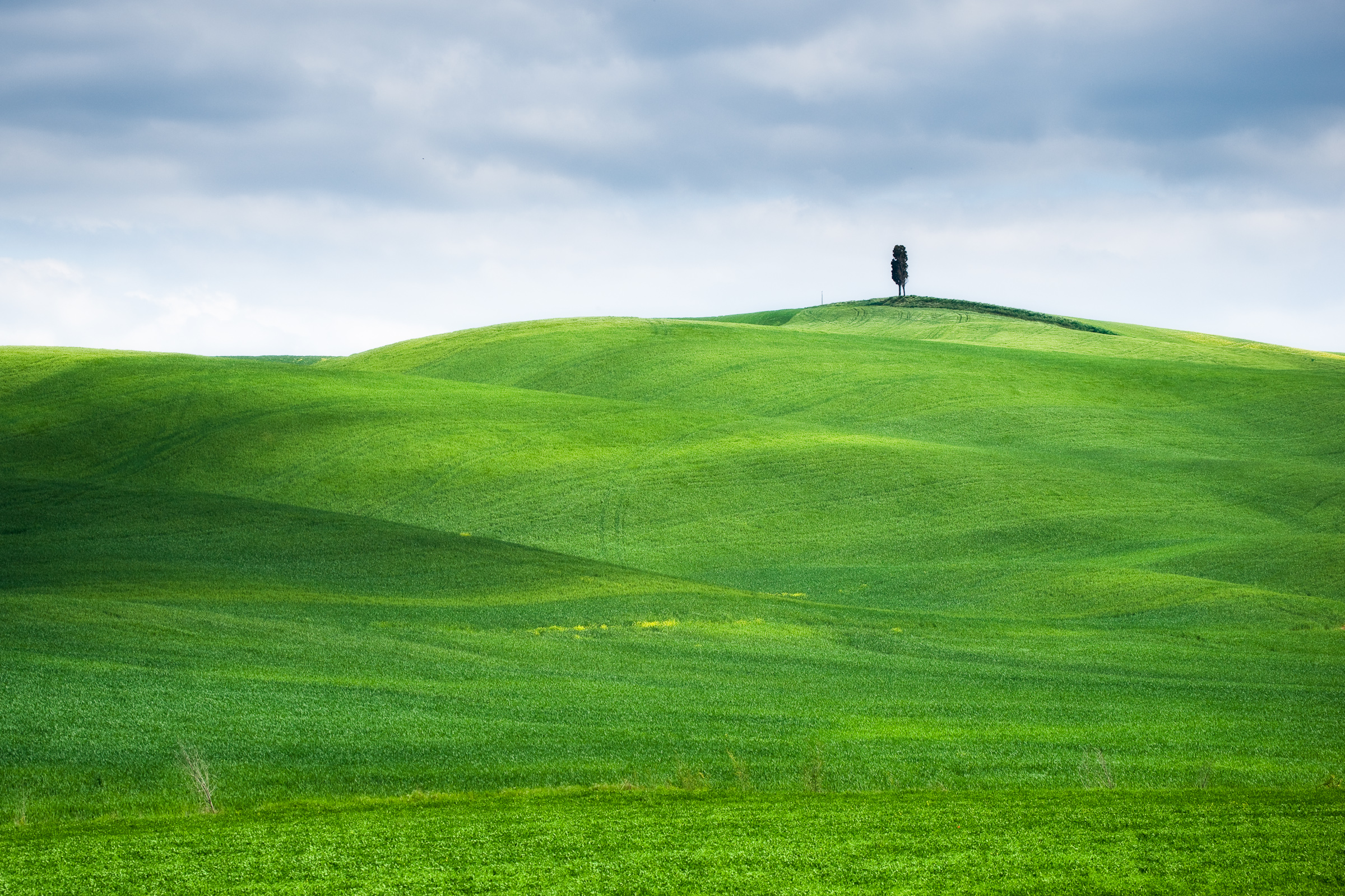 Включи холма. Зеленые холмы Смоленск. Зеленые холмы 212525. Green Hills зеленые холмы Ирландии. Холм с травой.