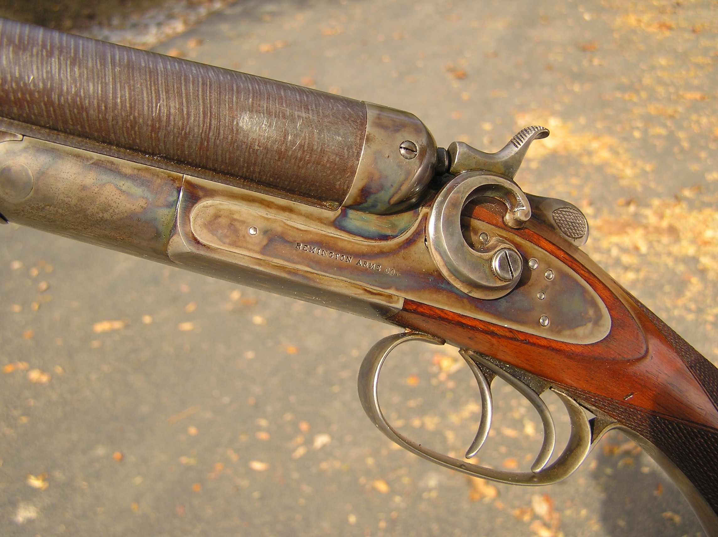 Что такое ружье. Remington model 1889. Remington model 1889 12 ga. Remington model 1889 обрез. Remington Shotgun 1889.