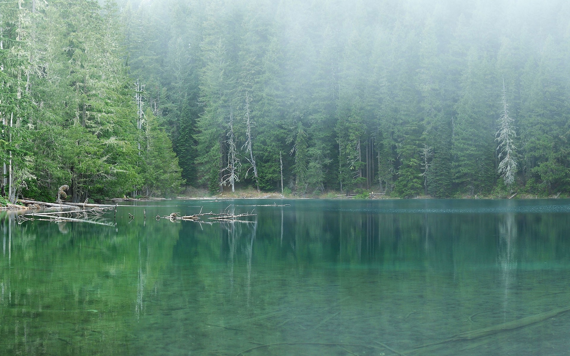 В иных озерах вода. Литва зеленые озера. Озеро Леушинский туман. Озеро зеленое ХМАО. Озеро в лесу.