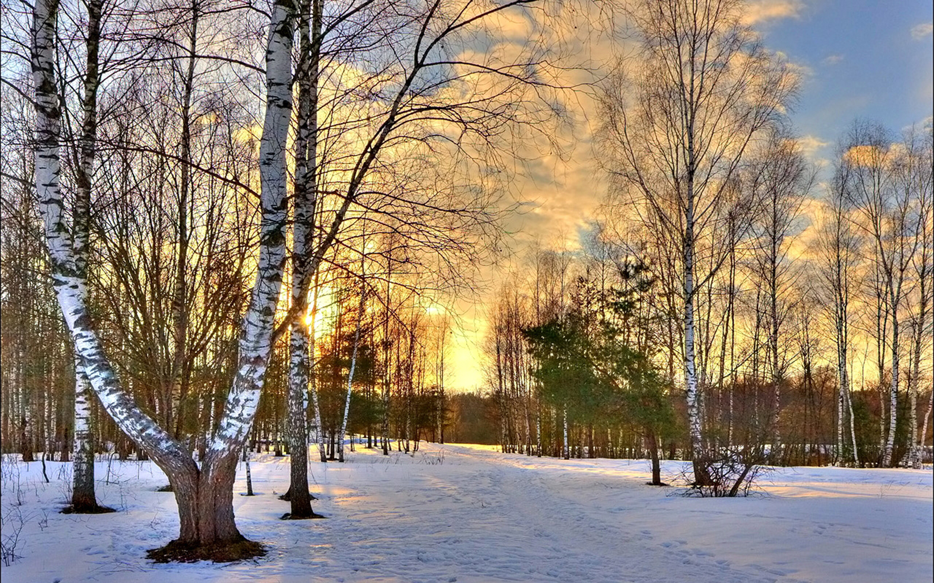 Утро природа февраль. Солнечный зимний день. Ранняя зима.