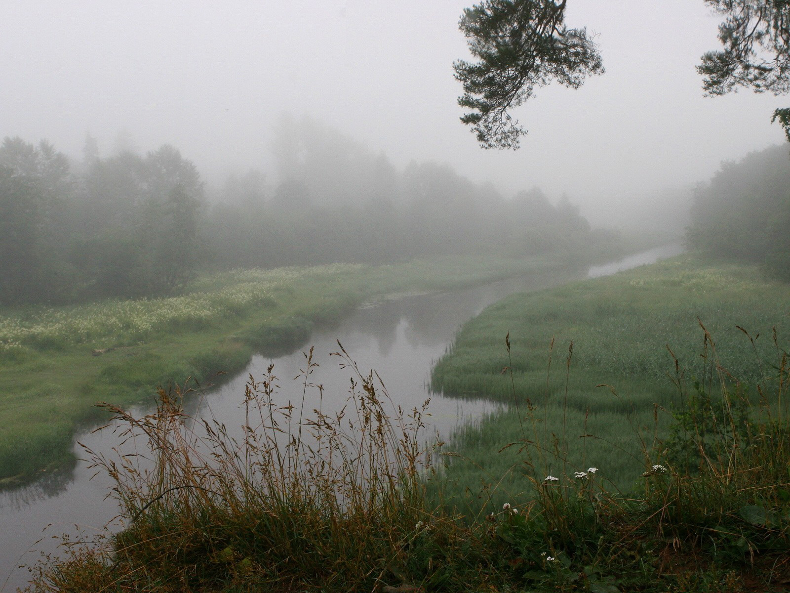 Там над травою. Звенигород Москва река туман. Туман речка Кострома. Туман на реке. Туманная река.