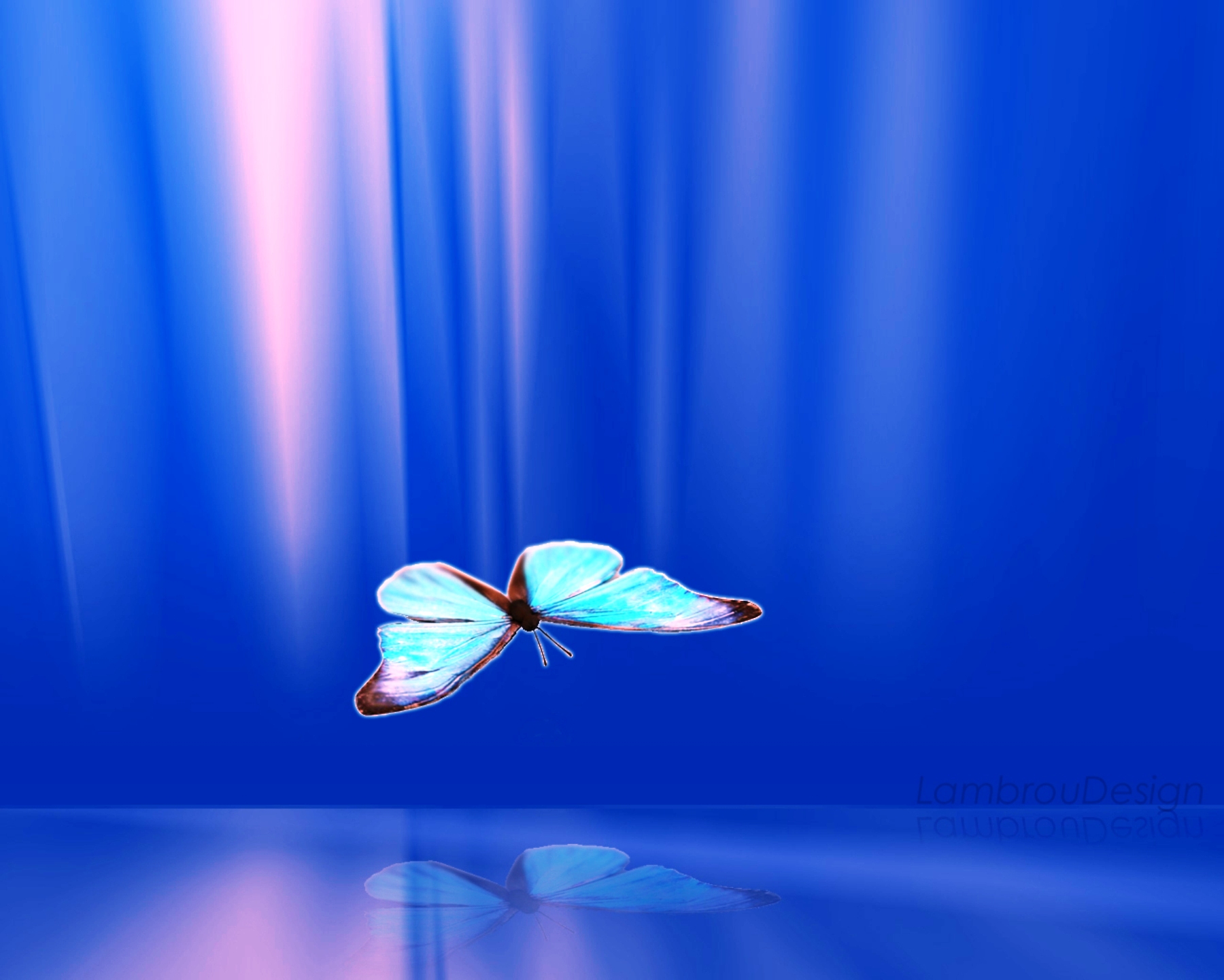 Голубые бабочки фон. Фон бабочки. Красивый фон с бабочками. Синяя бабочка. Бабочка на синем фоне.
