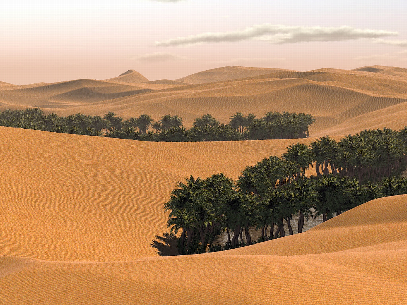 Природные зоны египта и их основные особенности. Пустыня руб-Эль-Хали Оазис. Аравийский полуостров Саудовская Аравия. Оазисы Аравийского полуострова. Оазис в пустыне Африки.