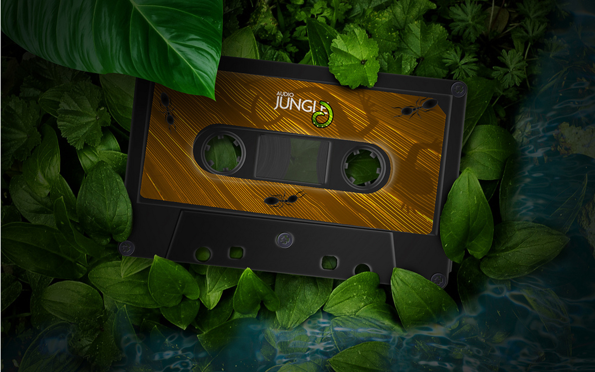 Музыка природы видео. Музыкальная обложка. Кассета музыкальная. Обложки для треков с кассетами. Зелёная обложка на кассете.