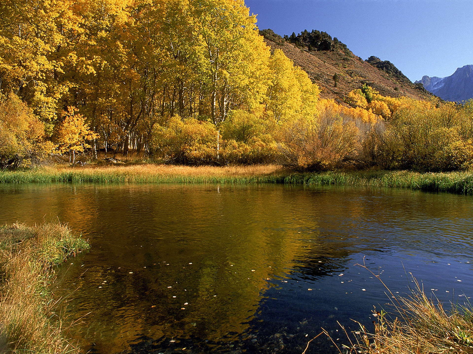 Сентябрь багряной веткой ивы. Природа осень. Осень река. Осенняя река. Пейзаж с рекой.