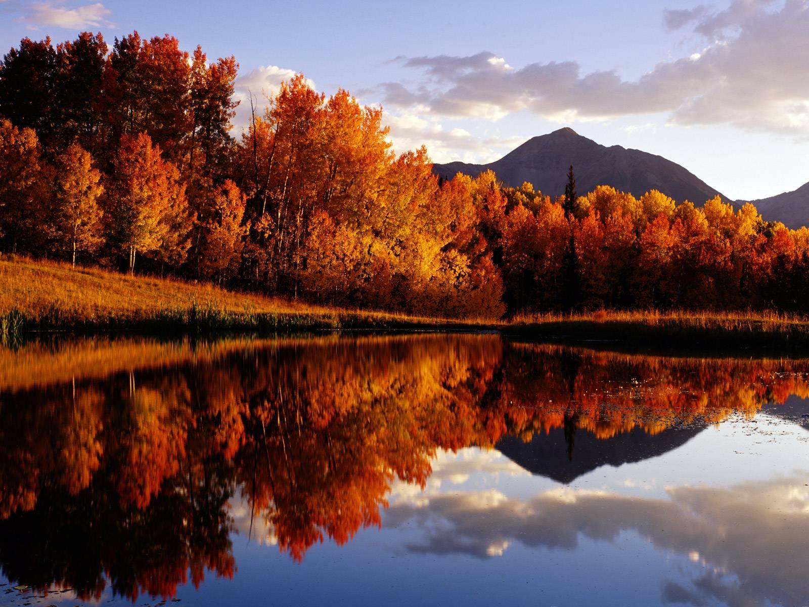 Какая сейчас осень. Осень. Осеннее озеро. Красивая осень. Природа осень.