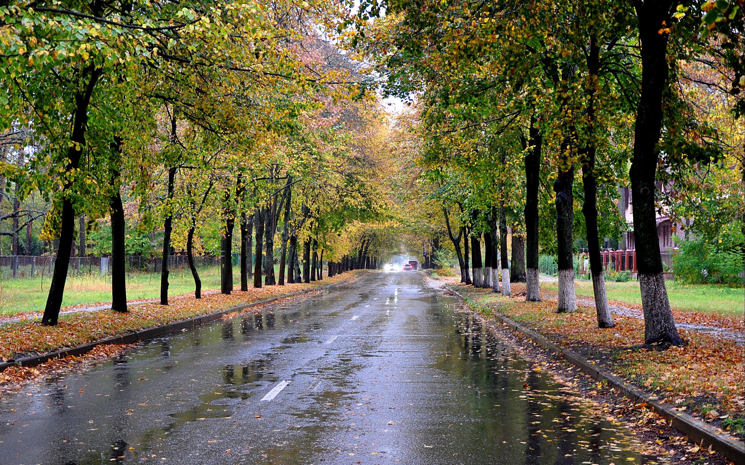 Парк пасмурно. Осенний парк. Осенний дождливый парк. Осень парк дождь. Дождь в осеннем парке.
